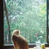dngg_22