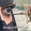 shathaabdalwhab