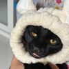 meowchalatte2005