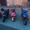 simon_1161