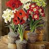 user4i63c3jsws