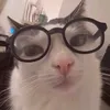 huesofbeu