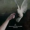 amnkfiraq