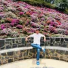 tanphan0601