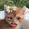 fr_____880