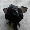 the_in_o
