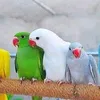 user2qnlv6f9oo