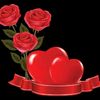user954301477