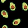 avocado19191919