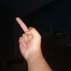 swisshp2