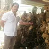 user9zfqnmcqlt