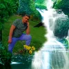 namr_tiger