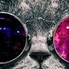 catmiau9