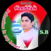 alishahzaib31333