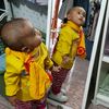 myeshauti3