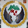 Mountain Eagle
