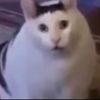 aiqdjzj