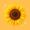 sunflowerdeals