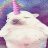 itsefa_