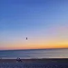 littleluck_1234