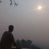 myanmarpyicow27