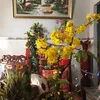 thuylam004