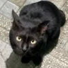 unknown12345936