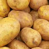 the_german_potato