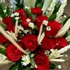 awann_19