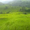 dhanchauhanxetri