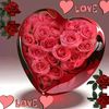user1411483481109