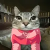 alexatxk