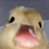 no_nameoo6