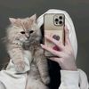 litaa_________