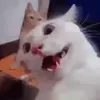 richardgabrielxavier