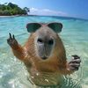 gevorik_4