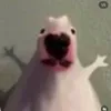 real_sourrry