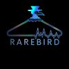 rarebird_co