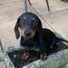 luke_stirrat
