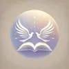 samir2844
