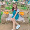 plamwarin_