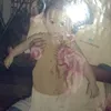 coi..eee1111