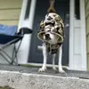 schwiftycumlordz