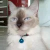 namakucatty