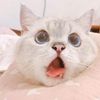 userr7hmixt8p6