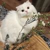 lvcuttie27