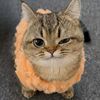 miawww_97