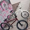 bmx_top0535