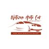 netizen_auto_car