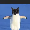 jlikesit